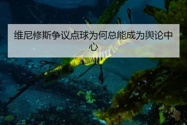维尼修斯争议点球为何总能成为舆论中心